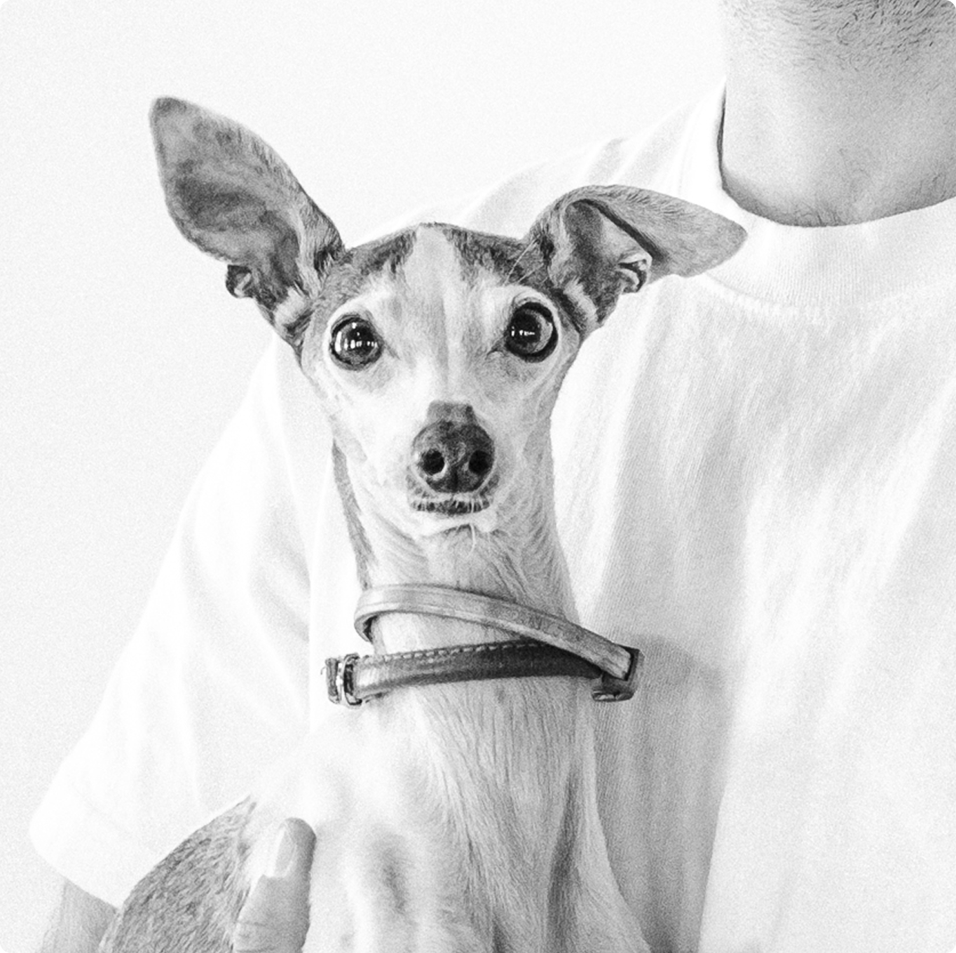 We keep our hiring process straightforward and respectful of your time.
After you apply, our team will review your background and reach out if there’s a potential fit. Qualified candidates can expect a brief introductory conversation focused on experience, communication style, and alignment with the role.
From there, you may be asked to complete a short practical exercise or participate in a deeper conversation with our leadership team to assess how you approach outreach, qualification, and real-world scenarios. Final steps typically include a discussion around expectations, compensation, and next steps.
We aim to move efficiently, communicate clearly throughout the process, and ensure there’s a strong mutual fit before making any decisions.